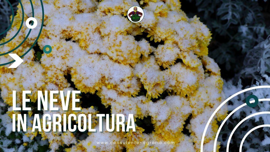 la neve in agricoltura