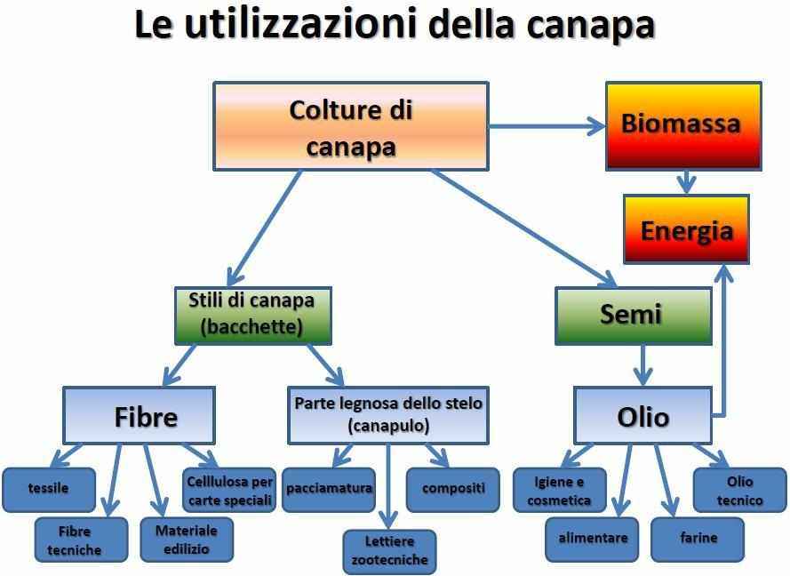 coltivazione-canapa-industriale