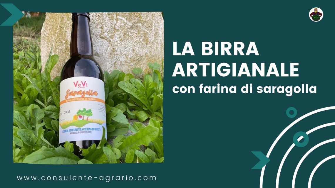 birra artigianale