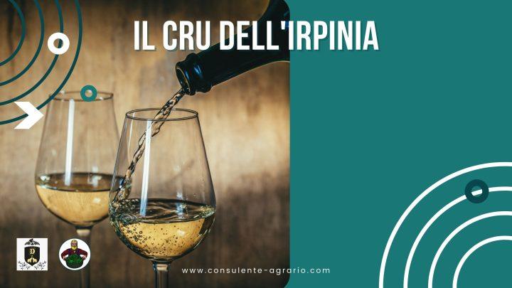 il cru dell'irpinia (2)