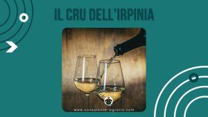il cru dell'irpinia