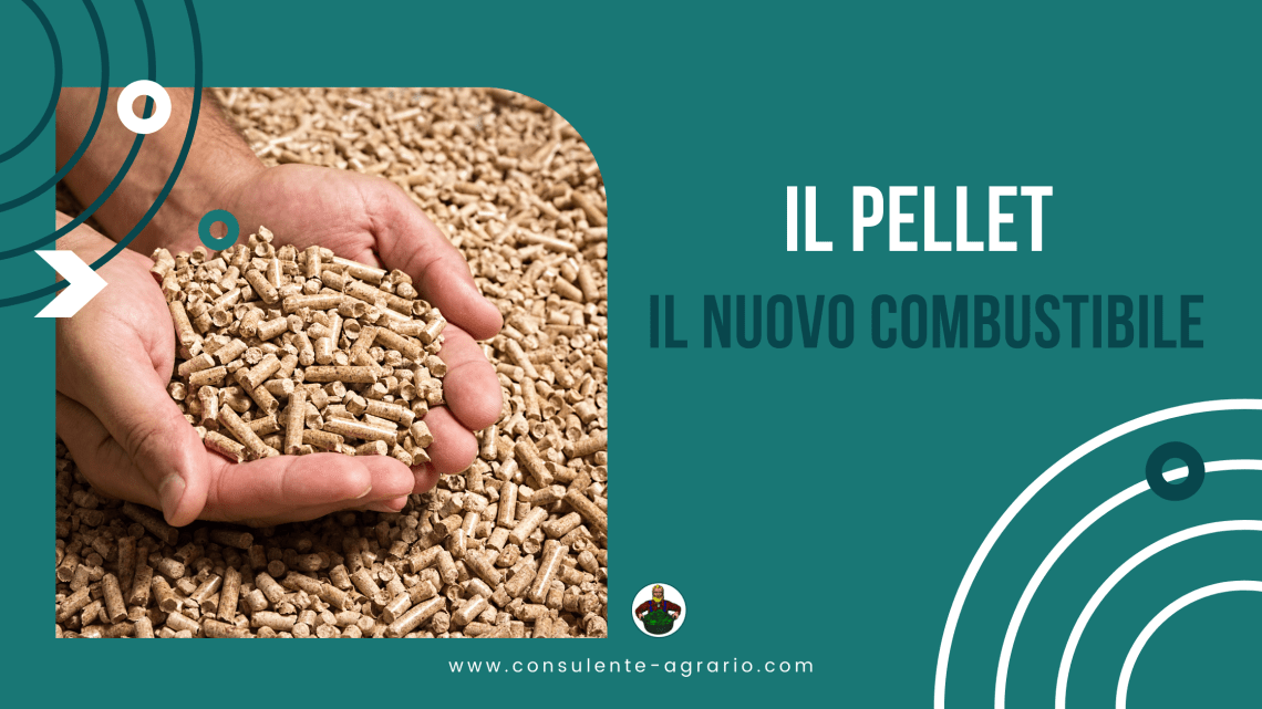 il pellet