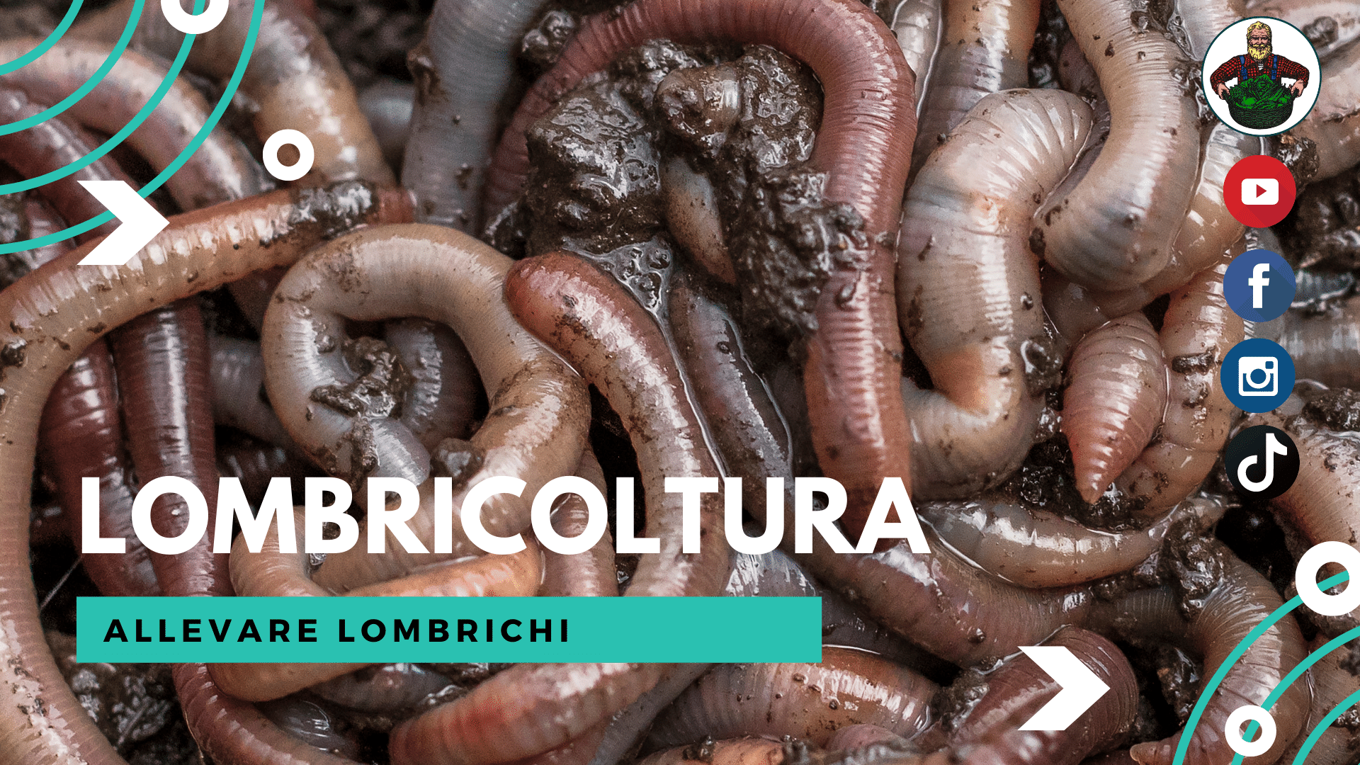 Allevare Lombrichi – Lombricoltura - Consulente Agrario