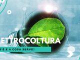 Elettrocoltura