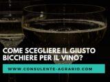 Come scegliere il giusto bicchiere per il vino?