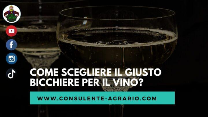 Come scegliere il giusto bicchiere per il vino?