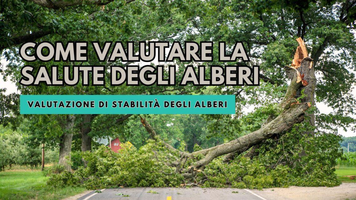 valutazione di stabilità degli alberi