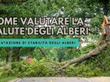 valutazione di stabilità degli alberi