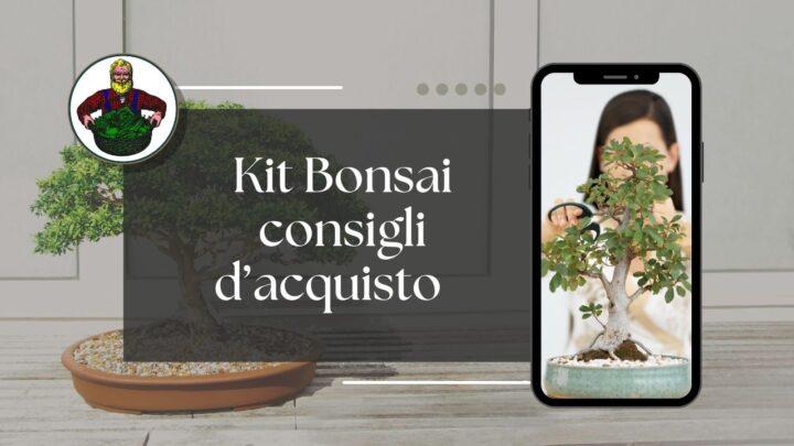 Kit Bonsai o Set Bonsai